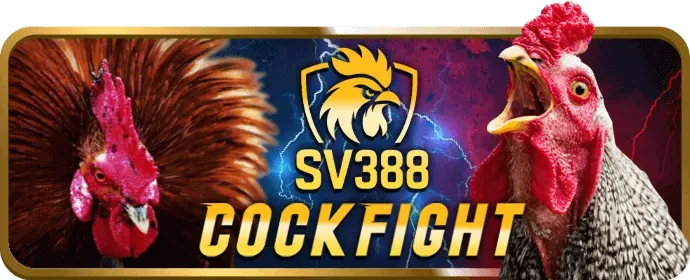 Ưu đãi nạp lại bigboss game